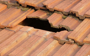 roof repair Hallbankgate, Cumbria
